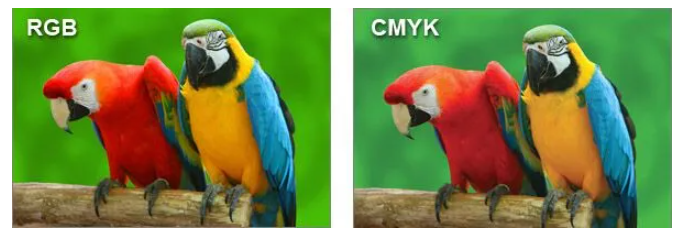 Screenshot-2024-08-12-114705 The World of RGB, Lab & CMYK in Label Printing